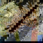 Putri Wibowo profile icon