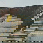 Meyra Anandea profile icon