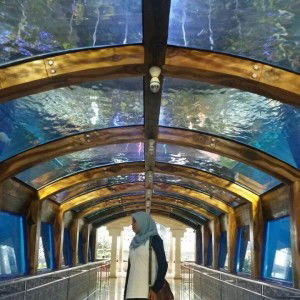 Kuswati profile icon