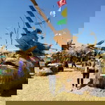 Rattanaporn Komon profile icon