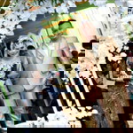 lucya puspita rini putri jati profile icon