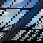 Misty Arro Bunyi profile icon