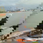 Yusuf Ibnu Ali profile icon