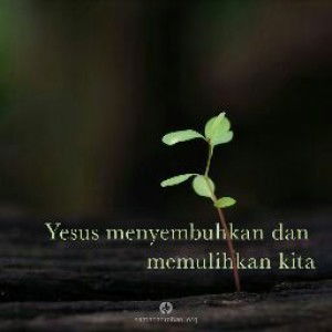 Aivy Justin profile icon