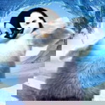 wen lia profile icon