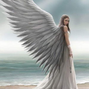 sara lee profile icon