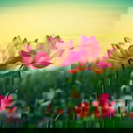 Dede Rohendi profile icon