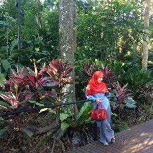 Feyonaa Abdilaa profile icon