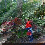 Feyonaa Abdilaa profile icon