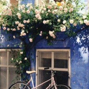 Yunita Kusuma profile icon