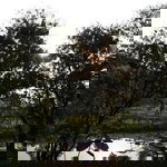 Siti Rukoyah profile icon