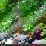 Safrina Olshope Rbj profile icon