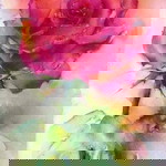 Norlina Mohamad profile icon