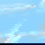dania profile icon