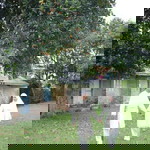 Khaleeda Hanif profile icon