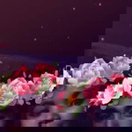 Janna Alonzo profile icon