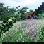 Fatin Nur Syafiqah profile icon