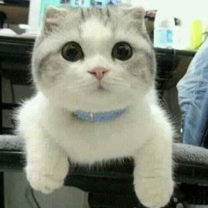 Woro Sri Ngudiastuti profile icon