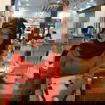 Afrisma Idrianti profile icon