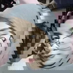 Serii Susilawati profile icon