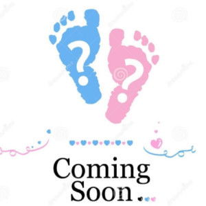 anonymous profile icon