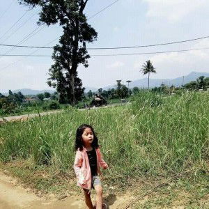 Mutiara Nur Aini profile icon