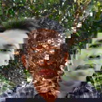 Nirwan BlackBaron profile icon