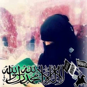 Shima Cyunk Qu profile icon