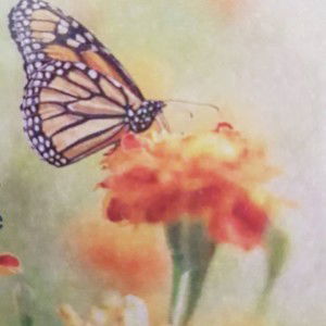 Mariejone Nicolas Dumo profile icon