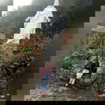 Annelarench Cruz profile icon