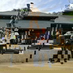 Mongkon Chai profile icon