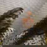 Maria Gracia Cruz profile icon