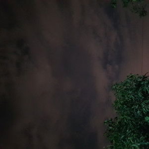 Kunyarut Pmn profile icon