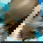 Ummu Syahidah Robbani profile icon