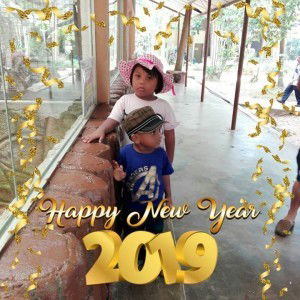 Nur Diela profile icon