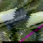 Joanieta Jonah profile icon