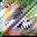 Nurandini profile icon