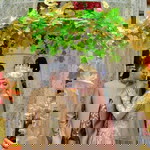 Anggun Mayda Andesta profile icon