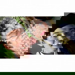 Puput Damayanti profile icon