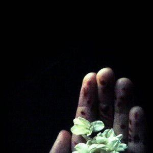 Syifaul Mubarokah profile icon