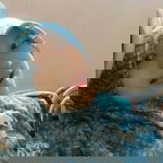 wheny haningtia profile icon