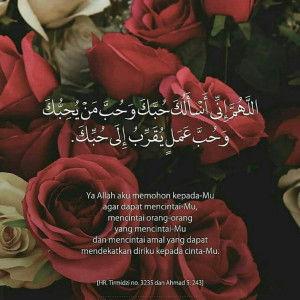 Ghina Vin Z profile icon