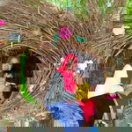 Hikma Armyanti profile icon