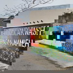 Dini Febry profile icon