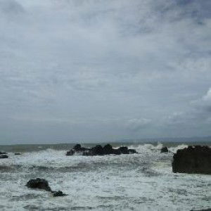 Nisa tresna profile icon