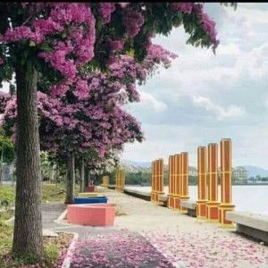 Qaisara Beautycare profile icon