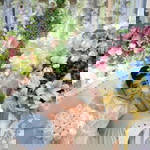 Najwua Putri profile icon