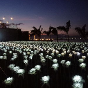 Moma A. profile icon