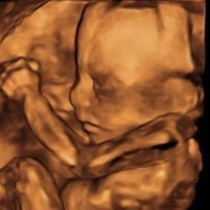 Linda Eustace profile icon