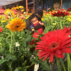 Maizatul Adzrieza profile icon